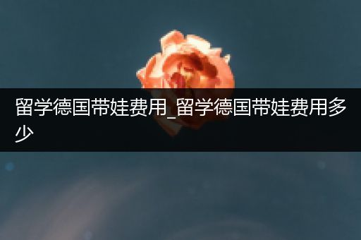 留学德国带娃费用_留学德国带娃费用多少