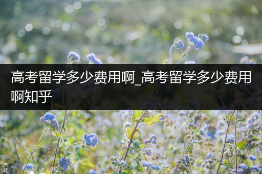 高考留学多少费用啊_高考留学多少费用啊知乎