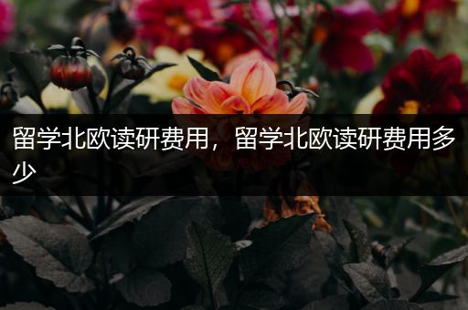 留学北欧读研费用，留学北欧读研费用多少