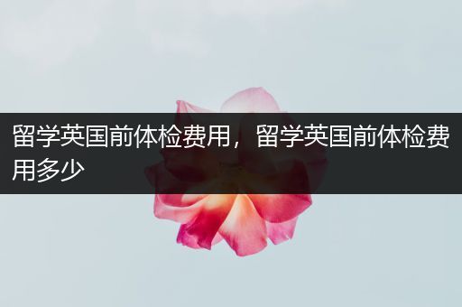 留学英国前体检费用，留学英国前体检费用多少