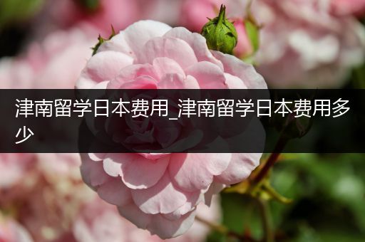 津南留学日本费用_津南留学日本费用多少