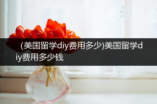 （美国留学diy费用多少)美国留学diy费用多少钱