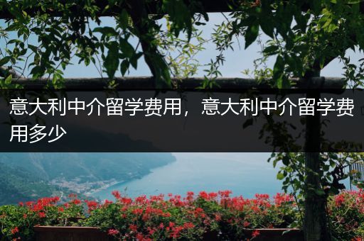 意大利中介留学费用，意大利中介留学费用多少