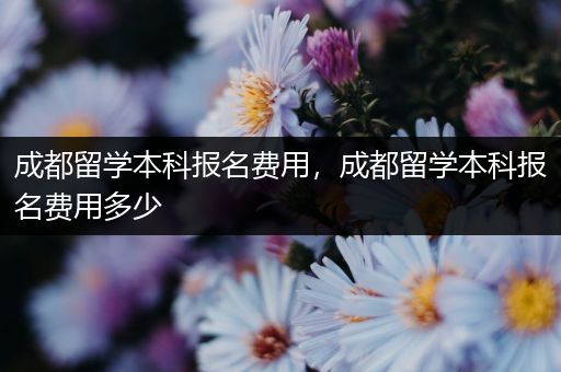 成都留学本科报名费用，成都留学本科报名费用多少