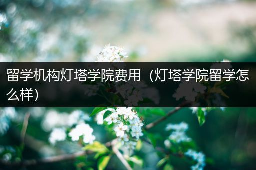 留学机构灯塔学院费用（灯塔学院留学怎么样）