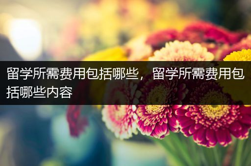 留学所需费用包括哪些，留学所需费用包括哪些内容