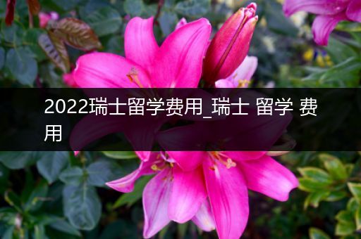 2022瑞士留学费用_瑞士 留学 费用