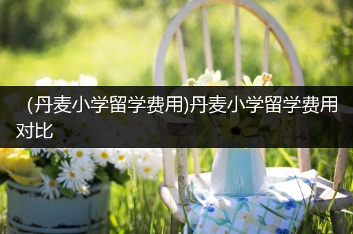 （丹麦小学留学费用)丹麦小学留学费用对比
