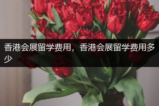 香港会展留学费用，香港会展留学费用多少