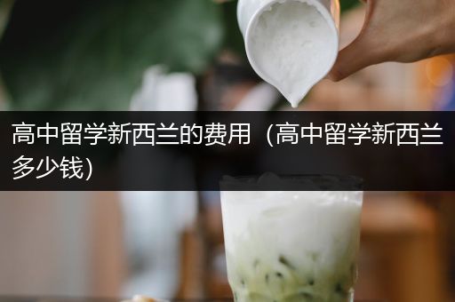 高中留学新西兰的费用（高中留学新西兰多少钱）
