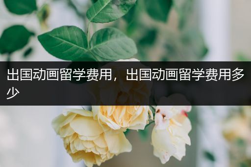 出国动画留学费用，出国动画留学费用多少