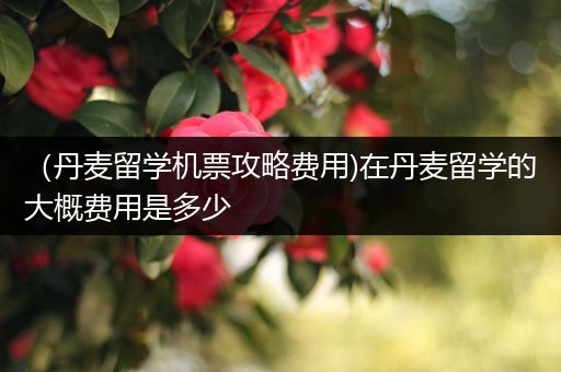 （丹麦留学机票攻略费用)在丹麦留学的大概费用是多少