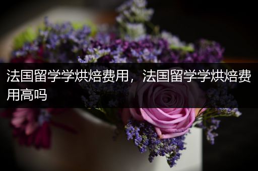 法国留学学烘焙费用，法国留学学烘焙费用高吗