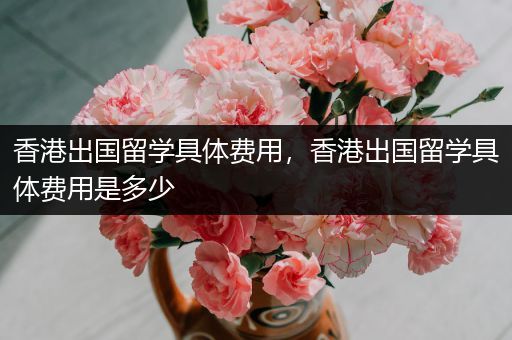 香港出国留学具体费用，香港出国留学具体费用是多少
