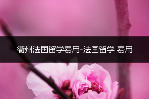 衢州法国留学费用-法国留学 费用