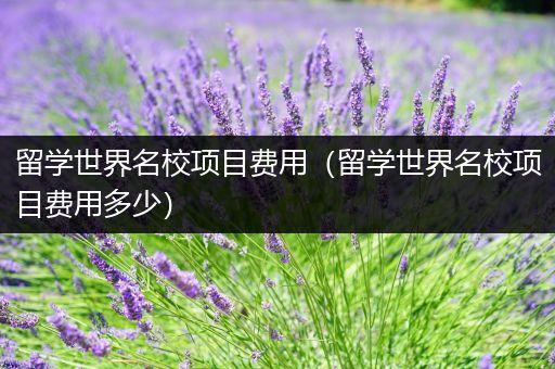 留学世界名校项目费用（留学世界名校项目费用多少）