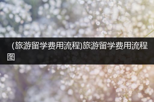 （旅游留学费用流程)旅游留学费用流程图