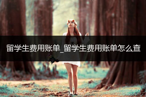 留学生费用账单_留学生费用账单怎么查