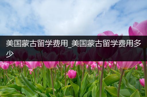 美国蒙古留学费用_美国蒙古留学费用多少