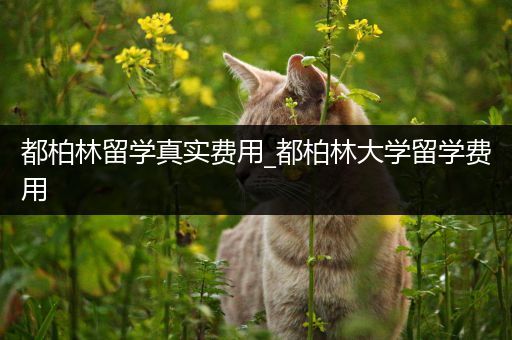 都柏林留学真实费用_都柏林大学留学费用
