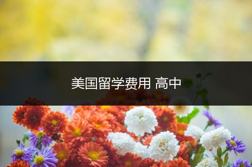 美国留学费用 高中