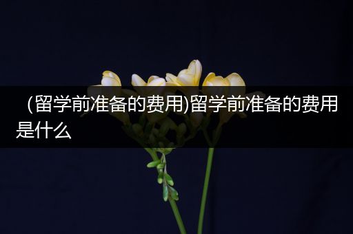 （留学前准备的费用)留学前准备的费用是什么