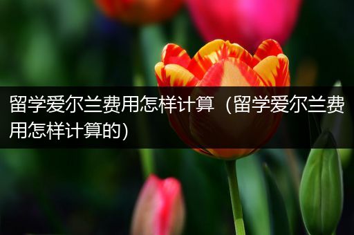 留学爱尔兰费用怎样计算（留学爱尔兰费用怎样计算的）