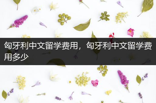 匈牙利中文留学费用，匈牙利中文留学费用多少