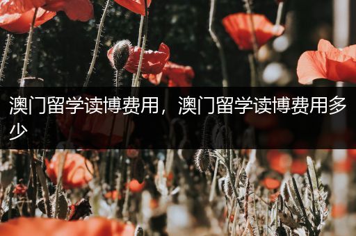 澳门留学读博费用，澳门留学读博费用多少