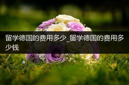 留学德国的费用多少_留学德国的费用多少钱