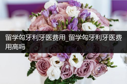 留学匈牙利牙医费用_留学匈牙利牙医费用高吗