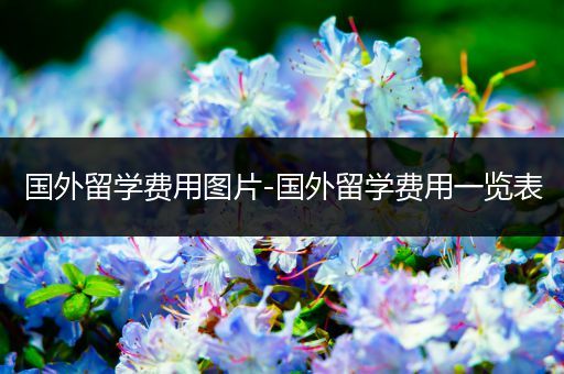 国外留学费用图片-国外留学费用一览表