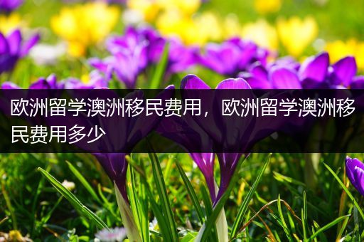 欧洲留学澳洲移民费用，欧洲留学澳洲移民费用多少