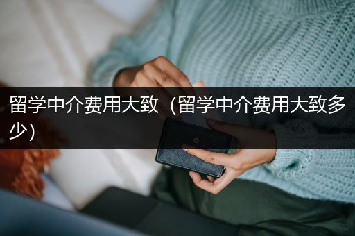 留学中介费用大致（留学中介费用大致多少）