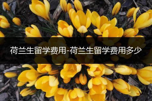 荷兰生留学费用-荷兰生留学费用多少