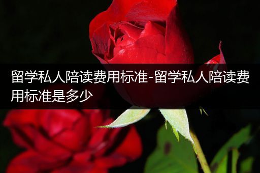留学私人陪读费用标准-留学私人陪读费用标准是多少