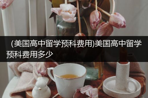 （美国高中留学预科费用)美国高中留学预科费用多少