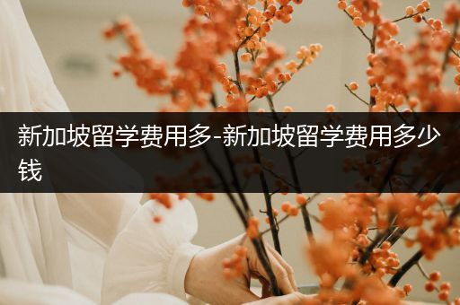 新加坡留学费用多-新加坡留学费用多少钱