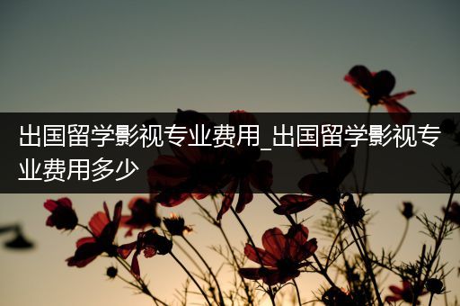 出国留学影视专业费用_出国留学影视专业费用多少