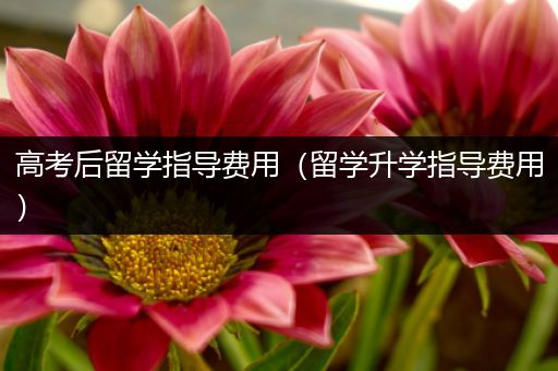 高考后留学指导费用（留学升学指导费用）