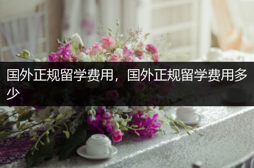 国外正规留学费用，国外正规留学费用多少