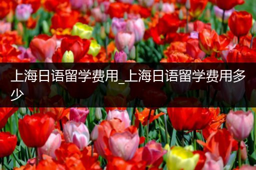 上海日语留学费用_上海日语留学费用多少