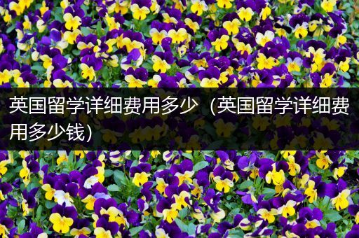 英国留学详细费用多少（英国留学详细费用多少钱）