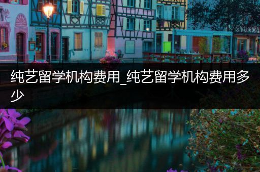 纯艺留学机构费用_纯艺留学机构费用多少