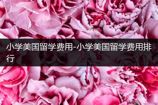 小学美国留学费用-小学美国留学费用排行