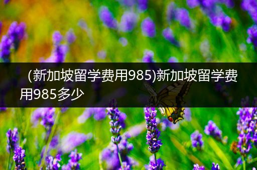 （新加坡留学费用985)新加坡留学费用985多少