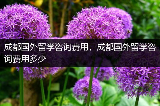 成都国外留学咨询费用，成都国外留学咨询费用多少