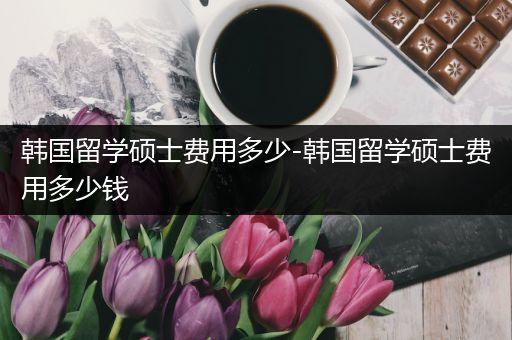 韩国留学硕士费用多少-韩国留学硕士费用多少钱