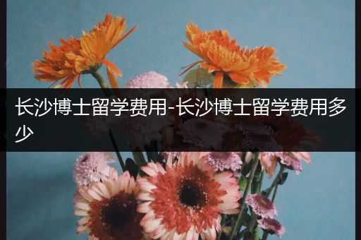 长沙博士留学费用-长沙博士留学费用多少