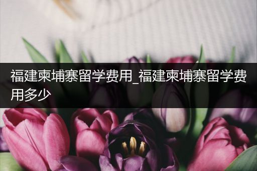 福建柬埔寨留学费用_福建柬埔寨留学费用多少